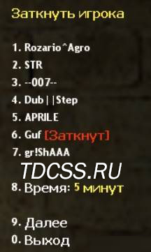 Admin Gag Menu